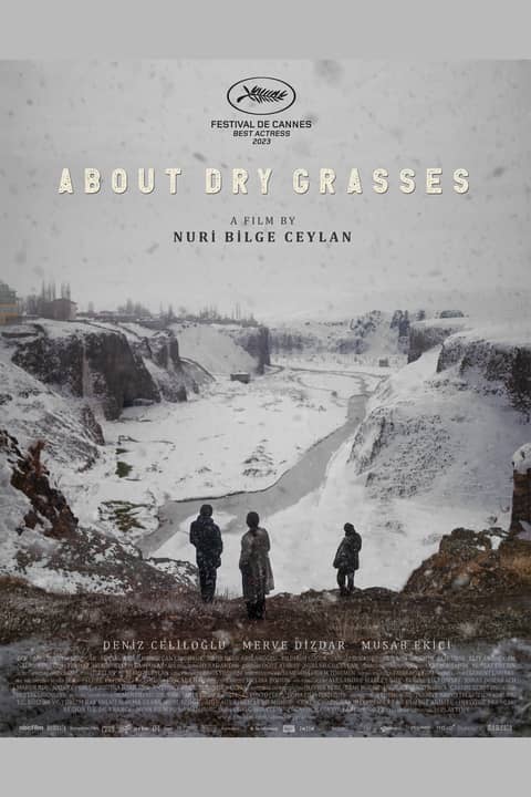 About Dry Grasses