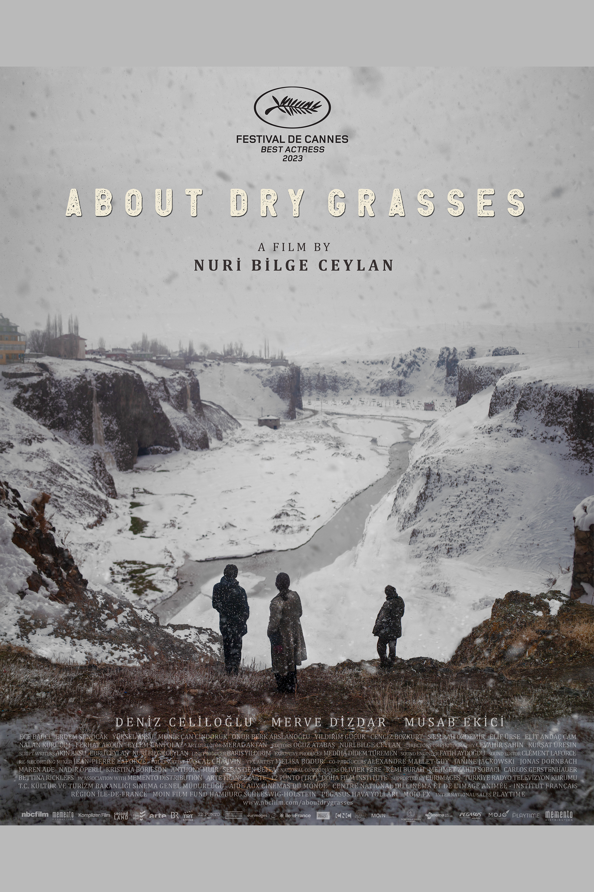 About Dry Grasses