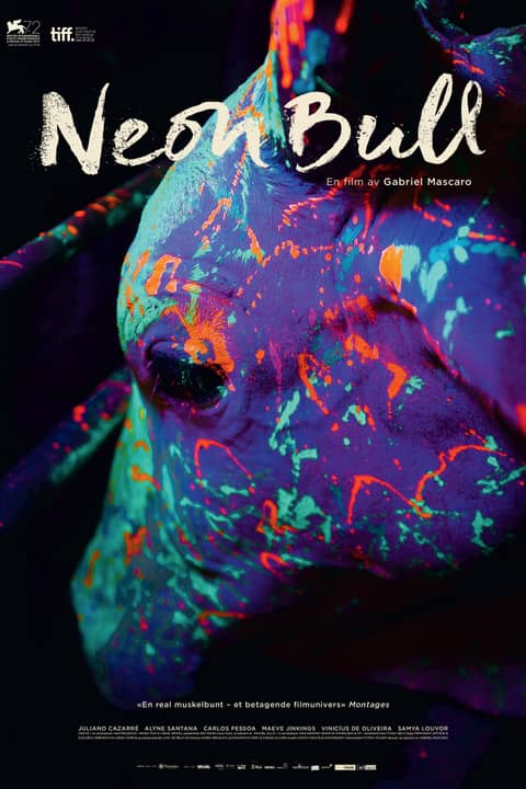 Neon Bull