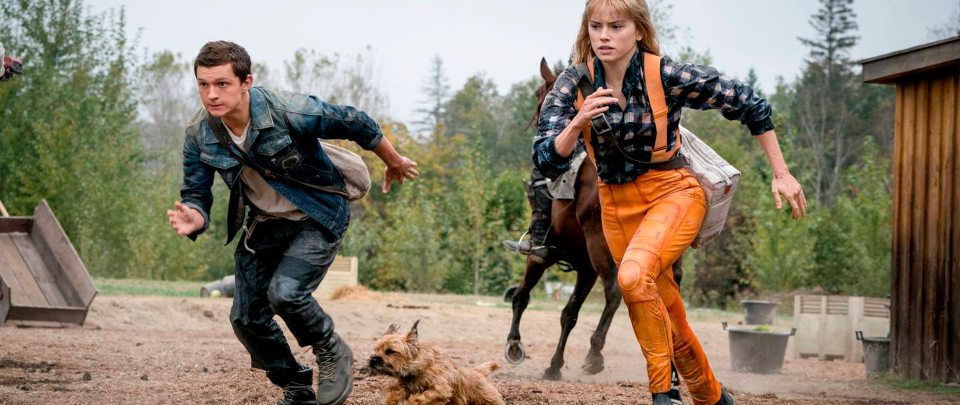 Chaos Walking