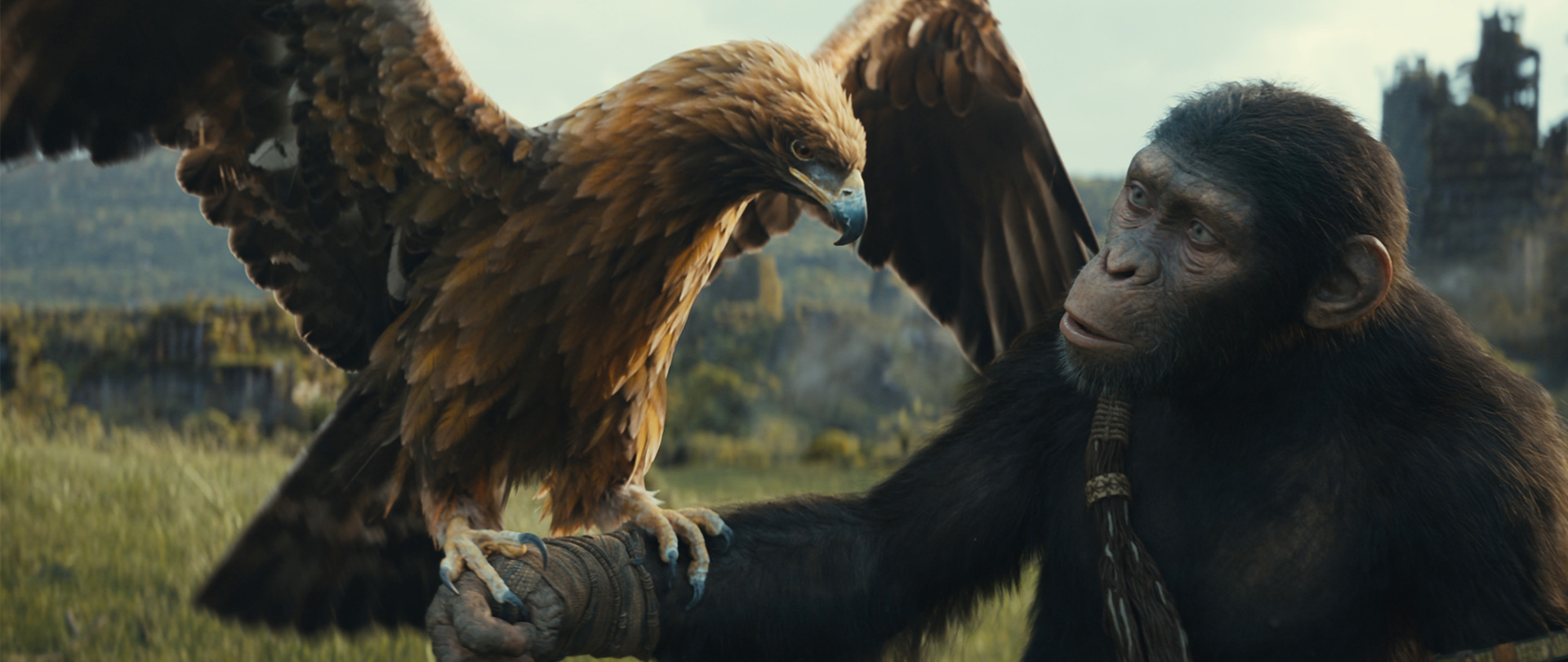Kingdom of the Planet of the Apes