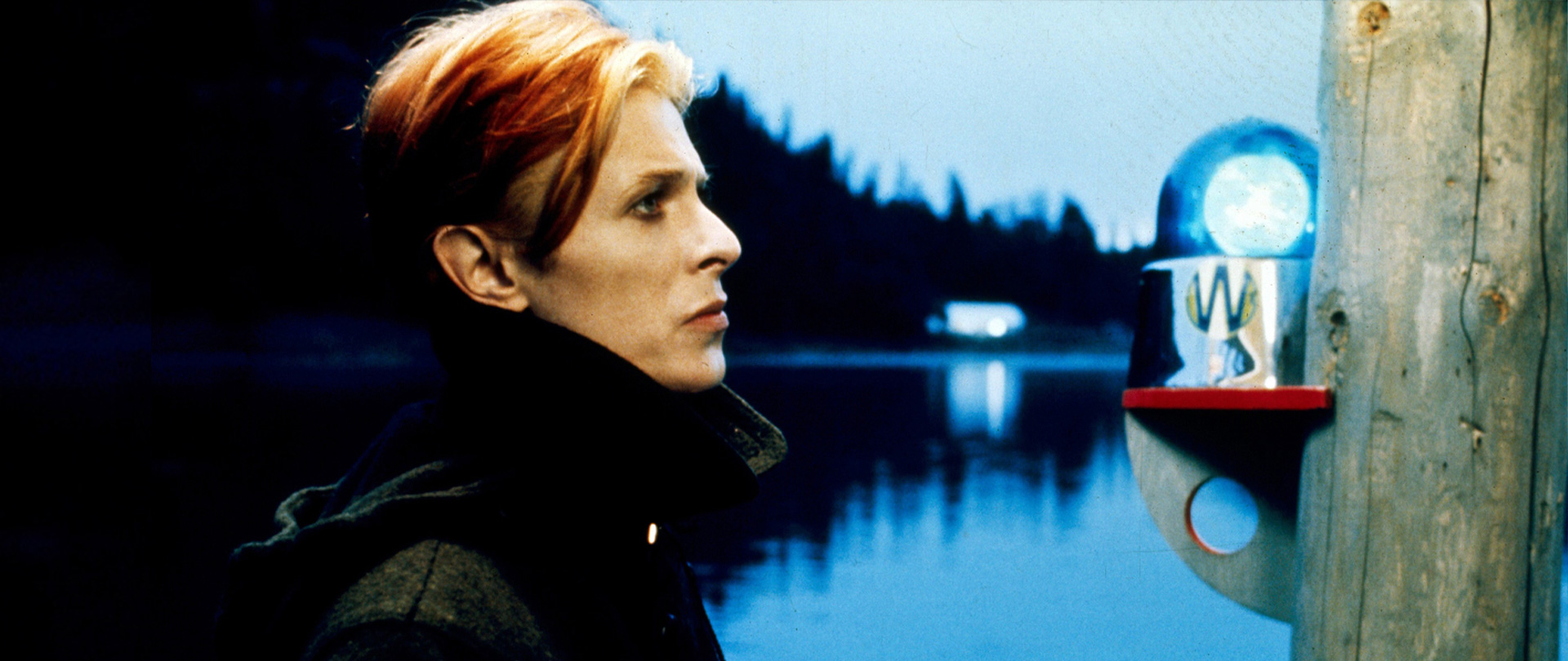 The Man Who Fell to Earth