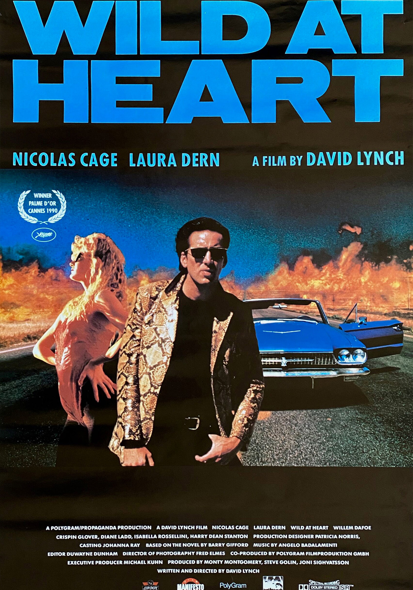 Wild at Heart (utekstet)