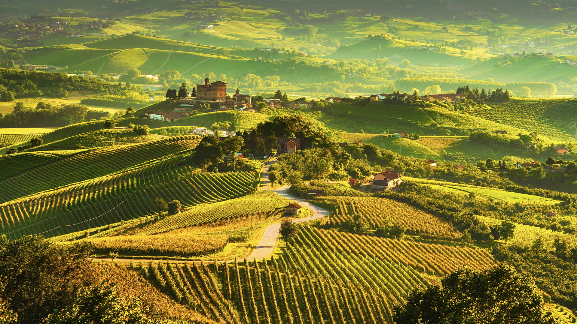 Vinkurs med Christer Berens - Italia