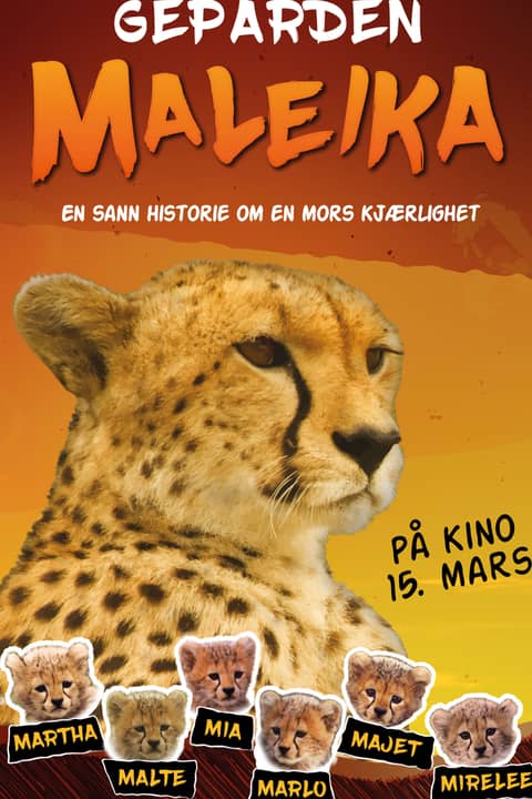 Geparden Maleika