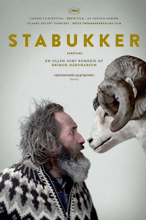 Stabukker