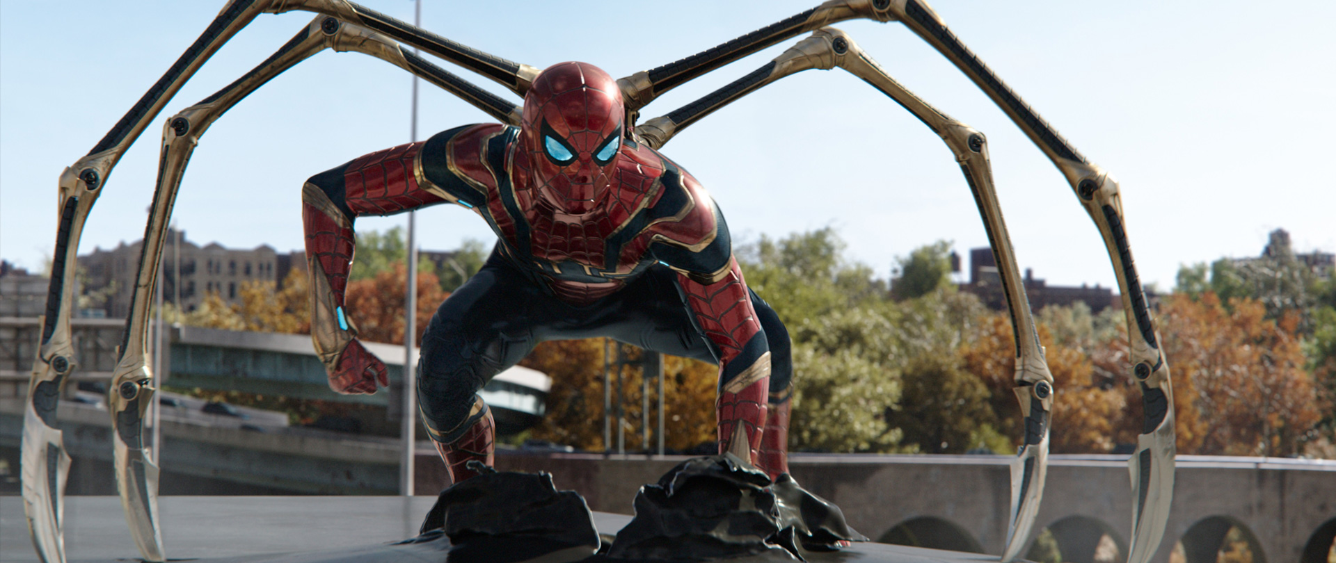 Spider-Man: No Way Home Director's Cut