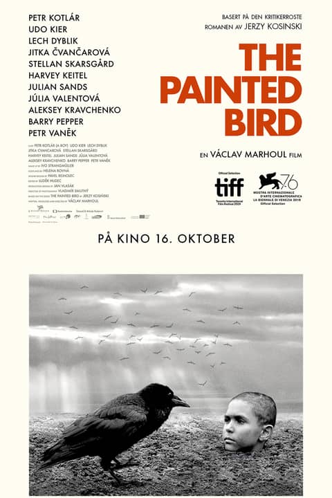 The Painted Bird