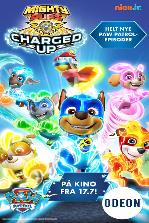 Paw Patrol: Charged up