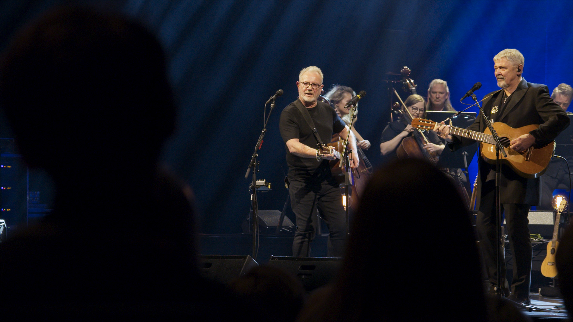 Dekksgutten - En konsertfilm