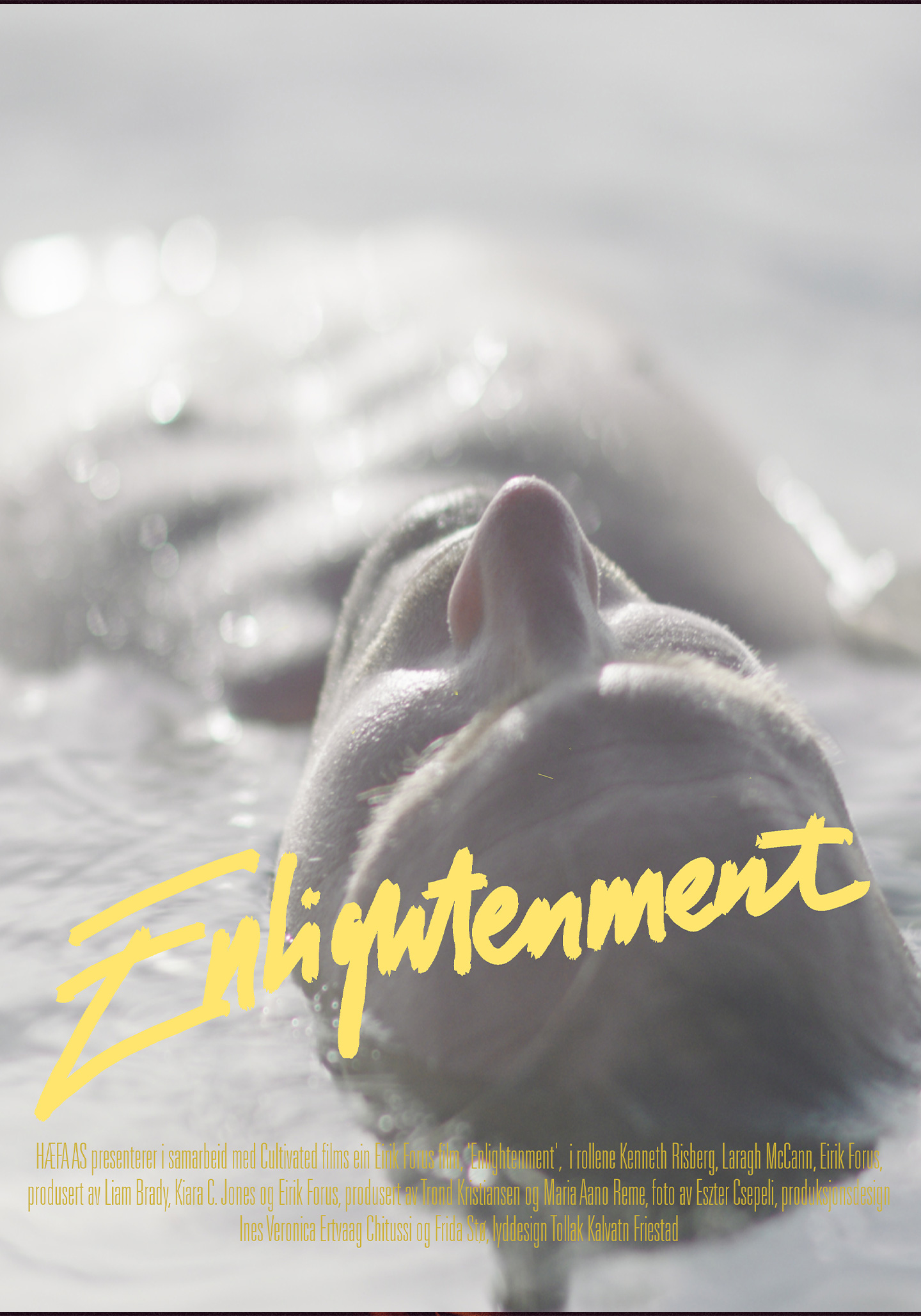 Enlightenment