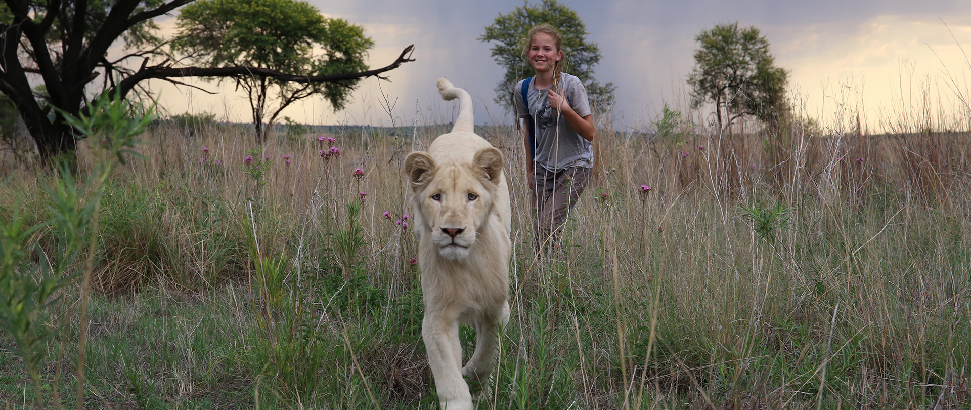 Mia and the White Lion