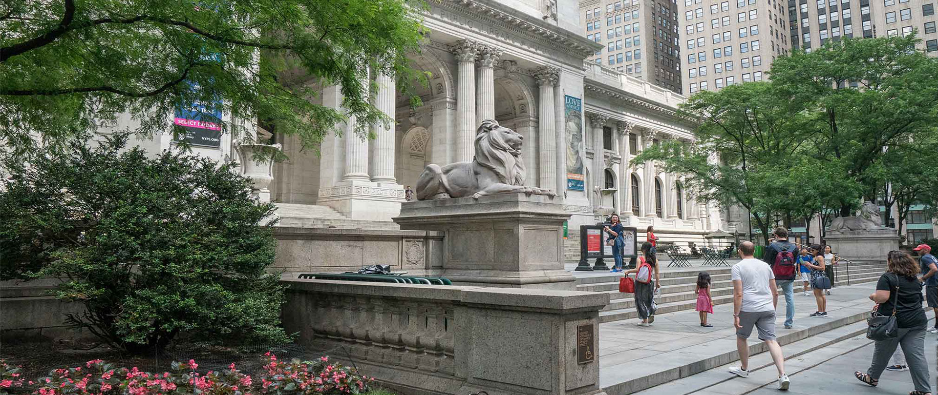 Ex Libris : New York Library (Cinemateket)