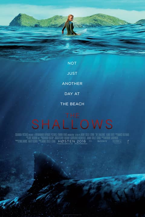 The Shallows