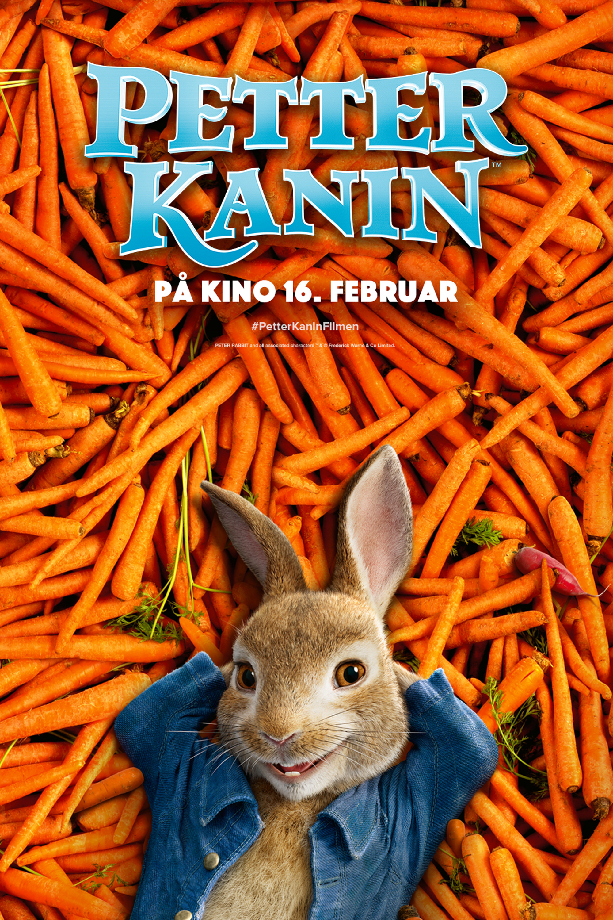 Petter Kanin