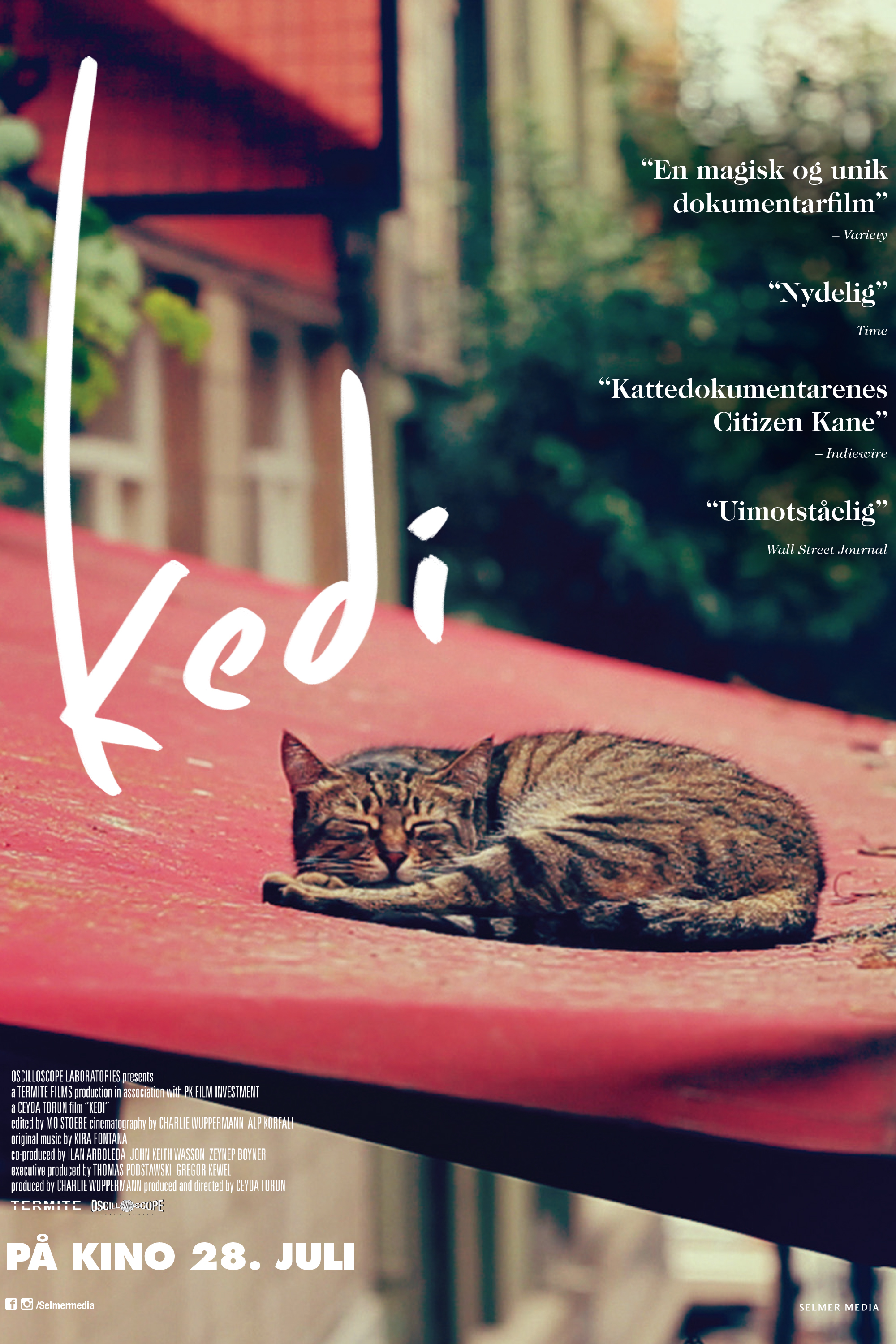 Kedi