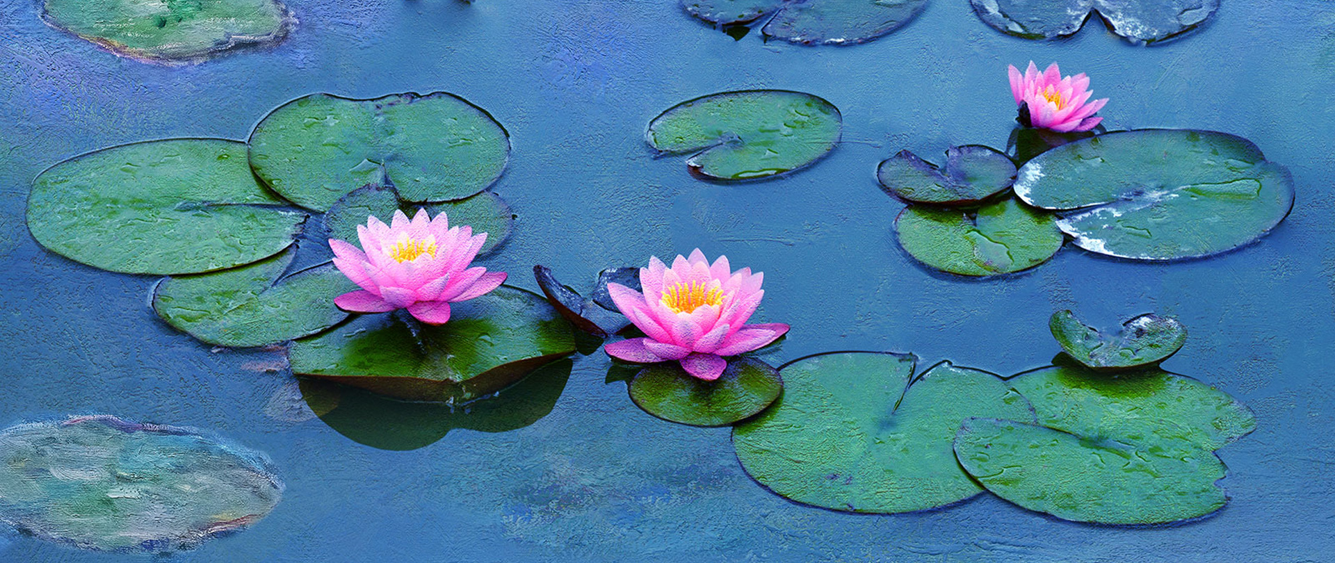 Water Lilies of Monet - The Magic of Water and Light