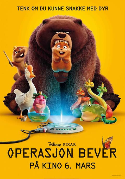 Operasjon bever