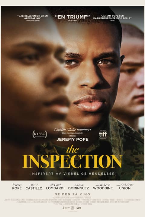 The Inspection