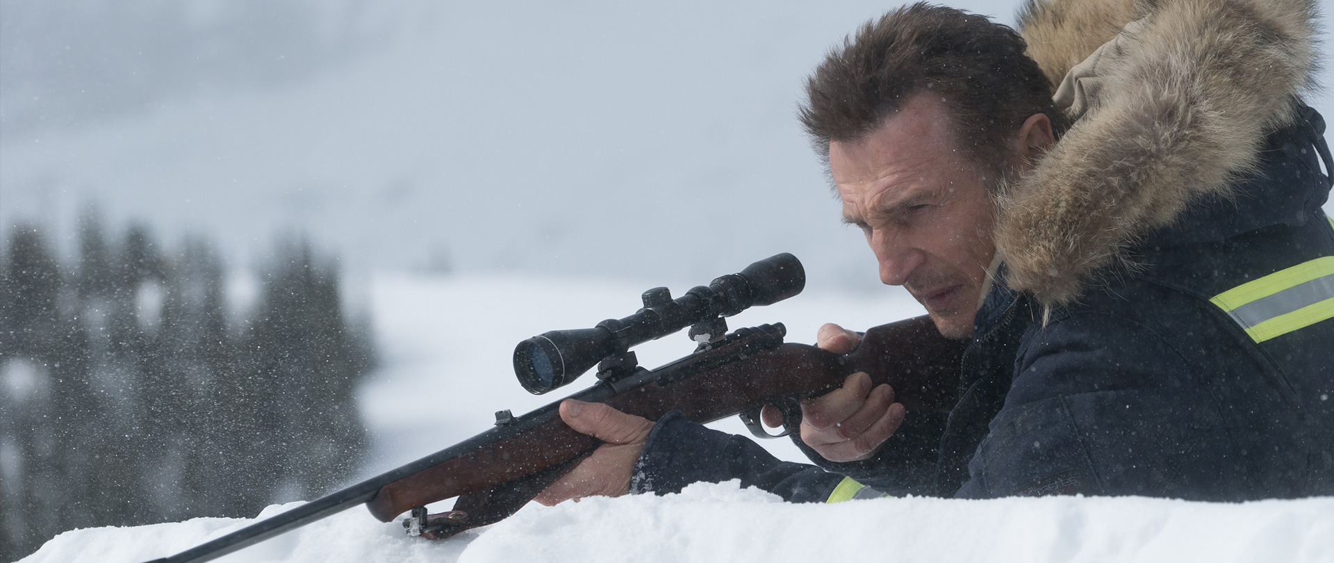 Cold Pursuit