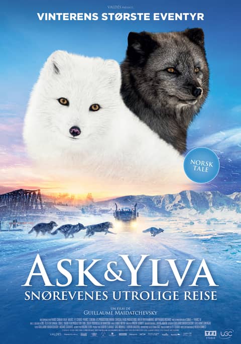 Ask & Ylva - Snørevenes utrolige reise