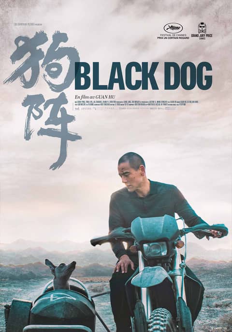 Black Dog