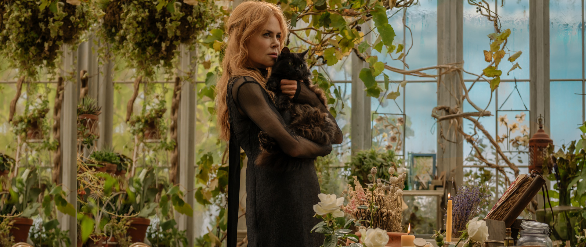 Practical Magic: Family Legacy