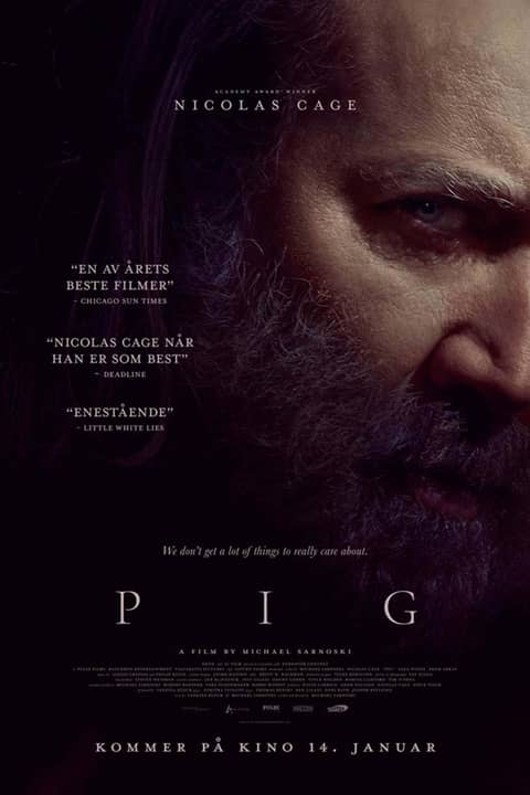 Pig