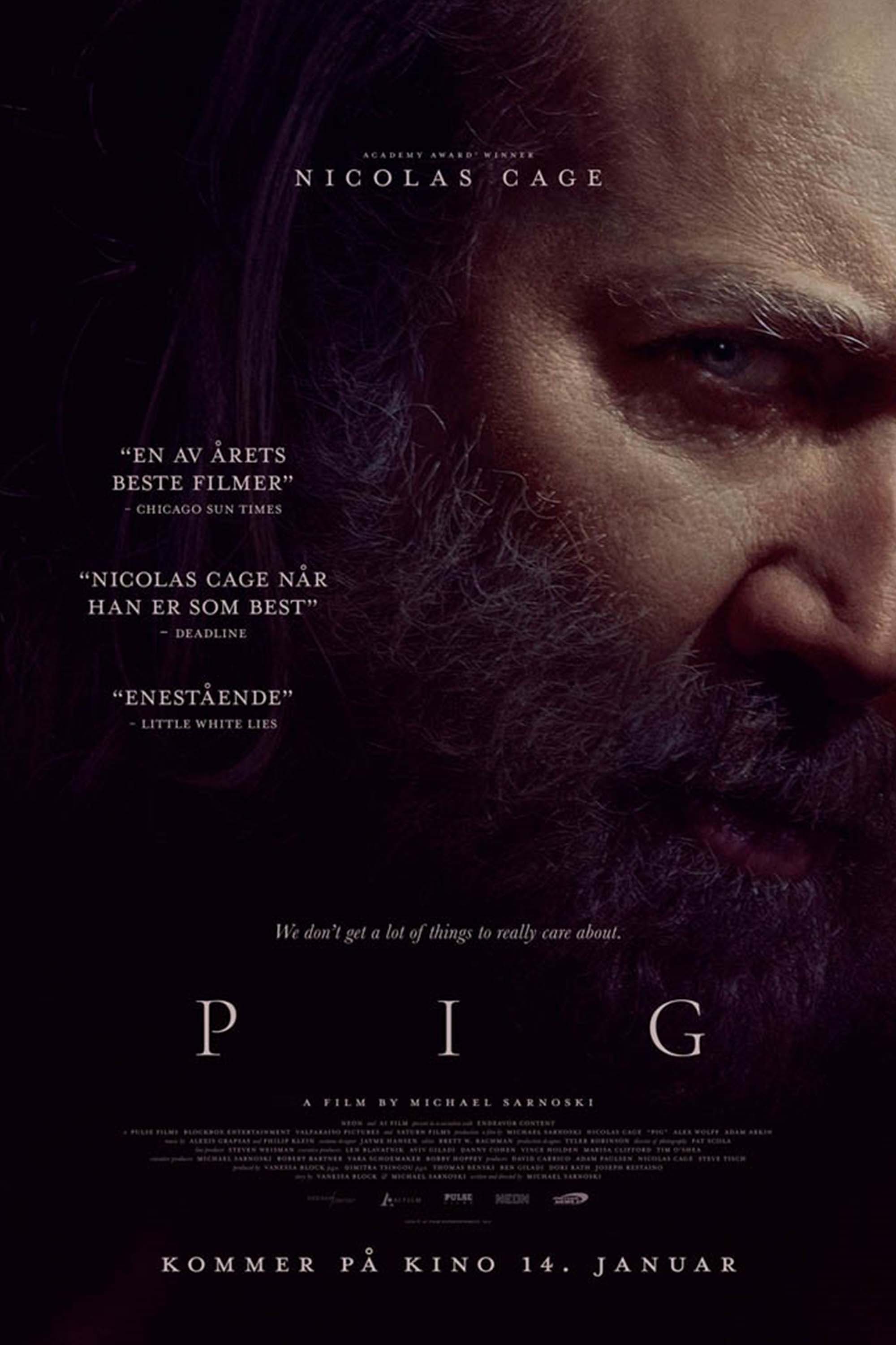 Pig