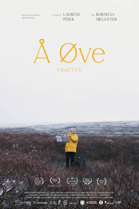 Å Øve