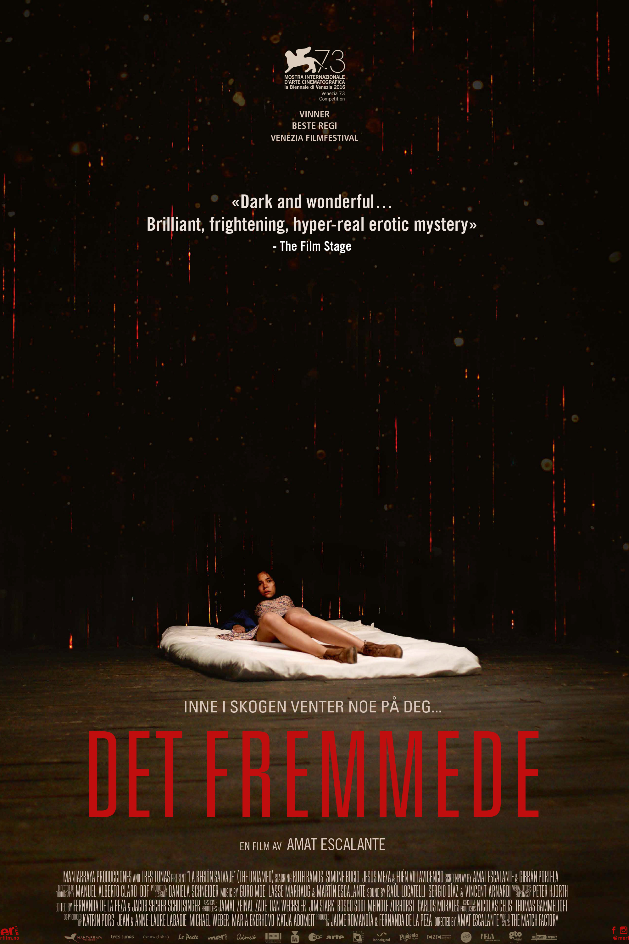Det Fremmede