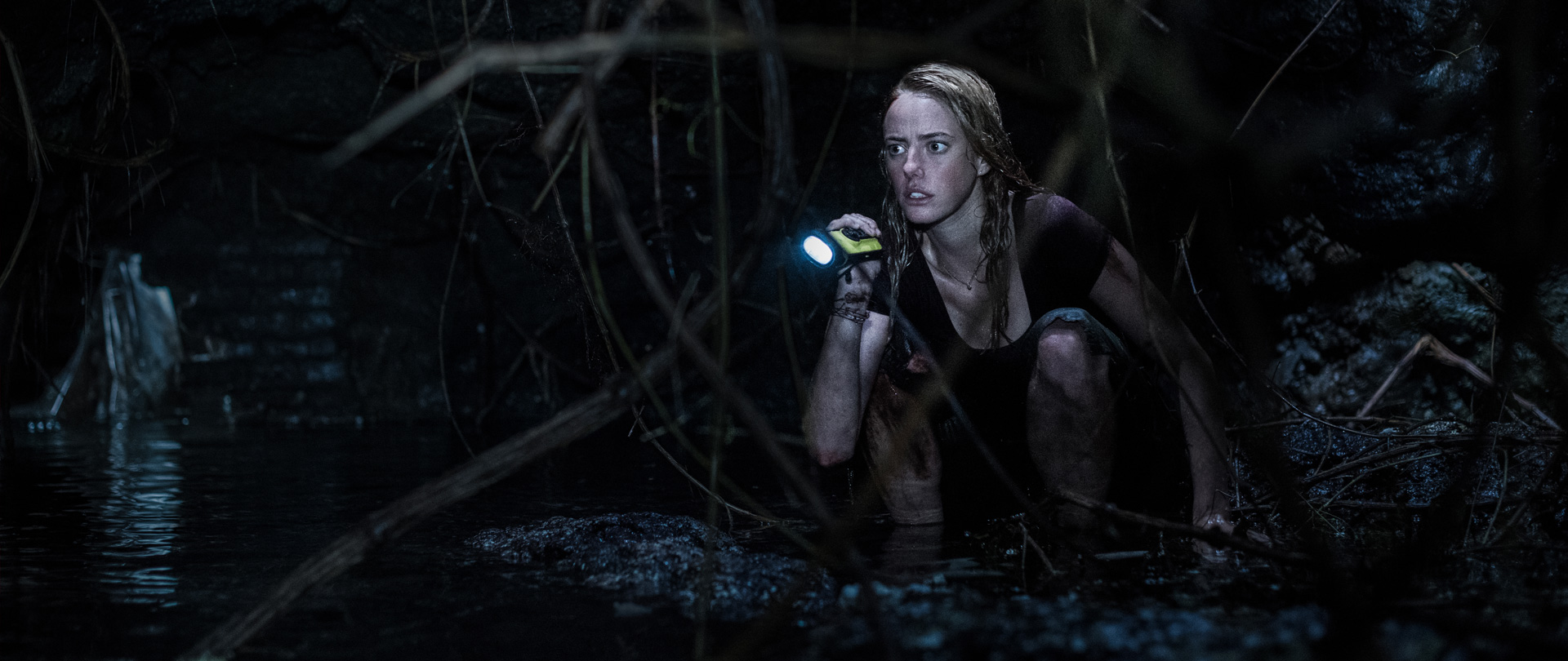 Crawl
