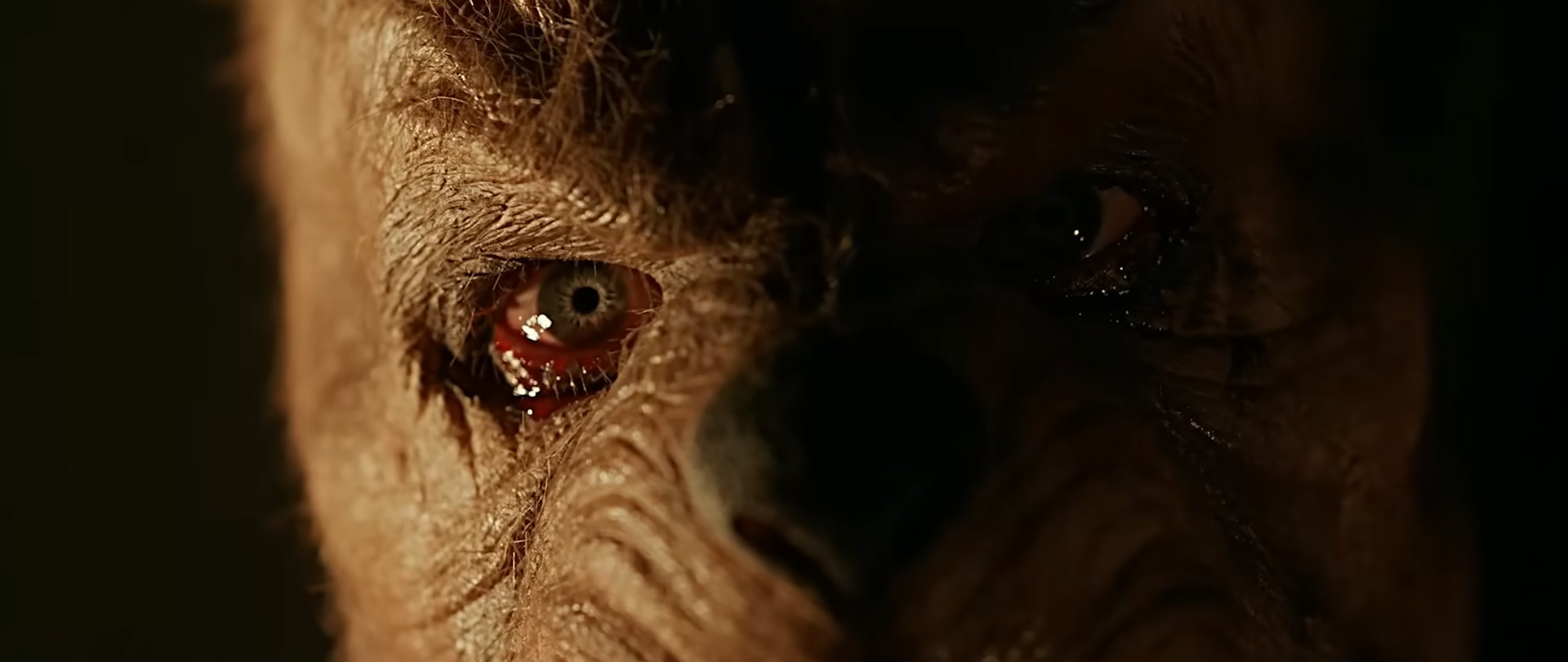 Winnie the Pooh: Blood and Honey 2
