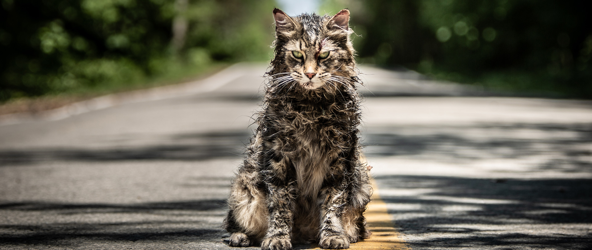 Pet Sematary