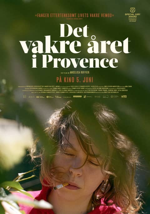 Det vakre året i Provence