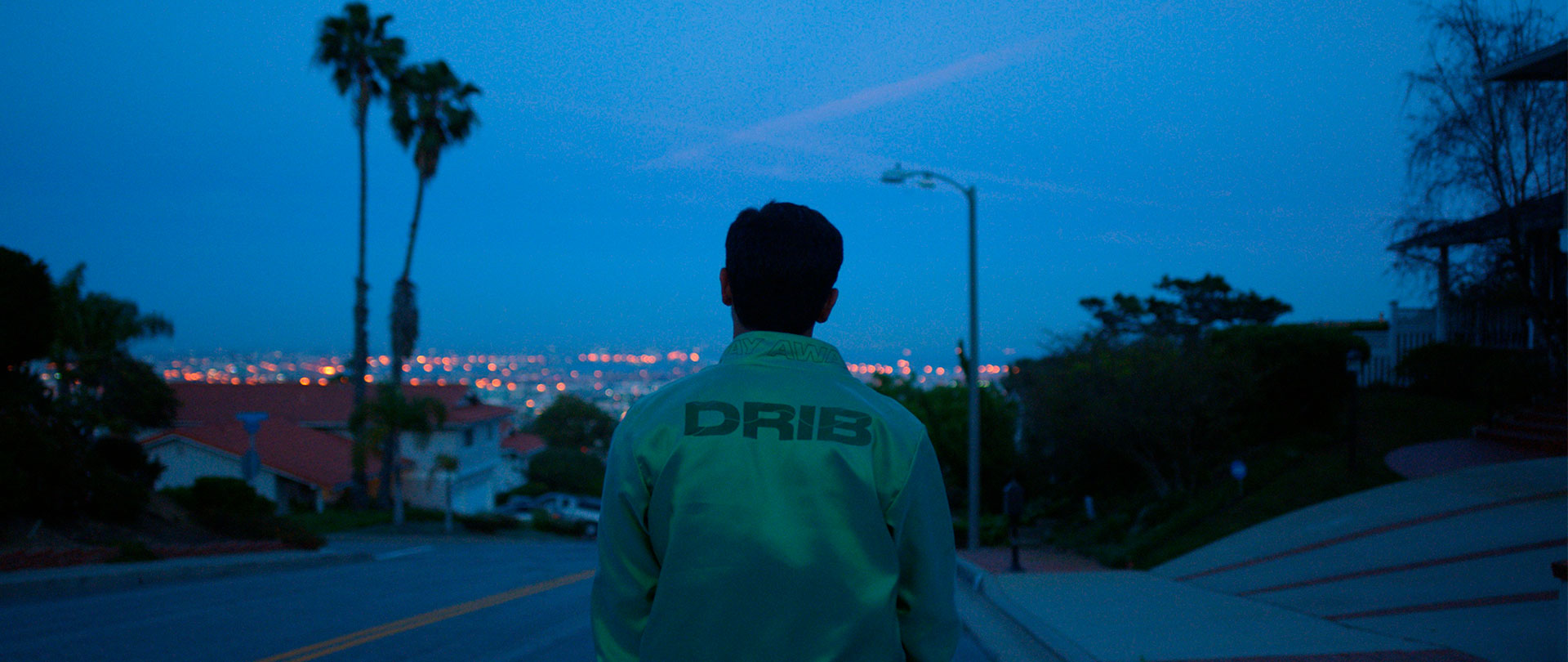 DRIB