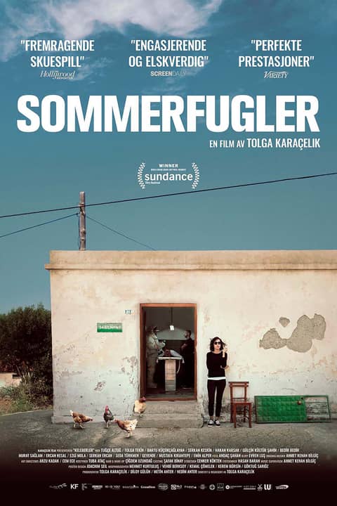 Sommerfulger