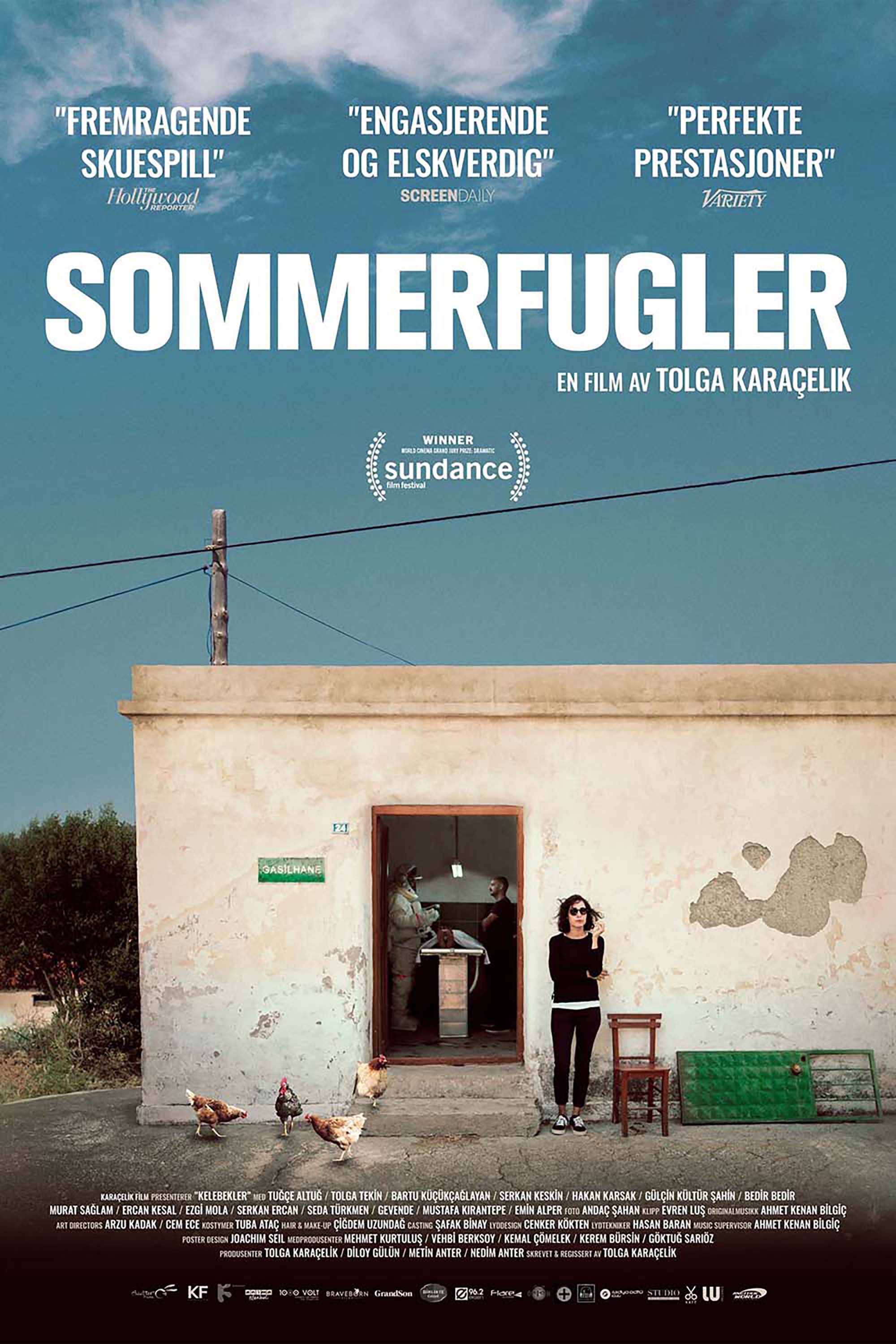 Sommerfulger