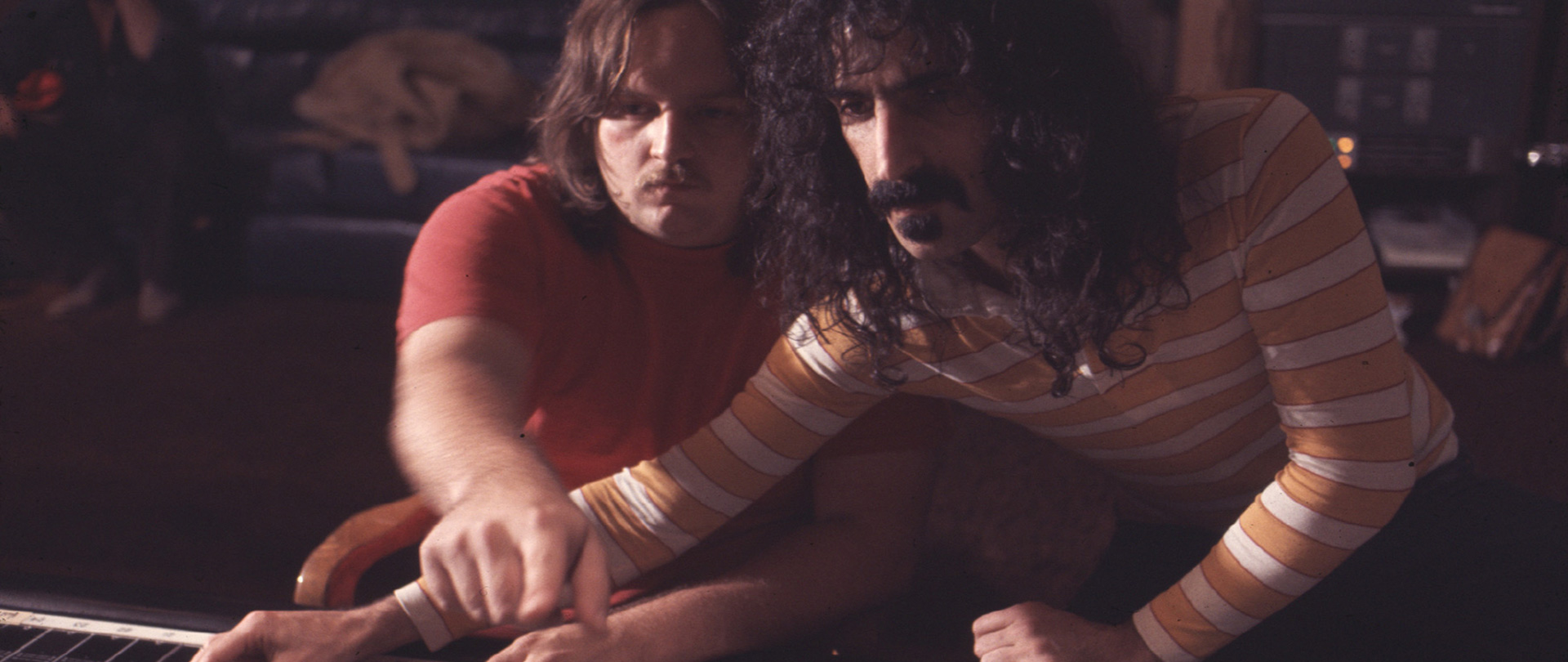 Zappa