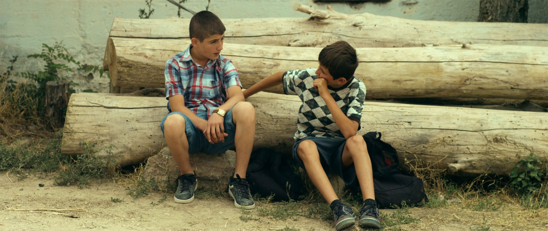 Fluefangeren