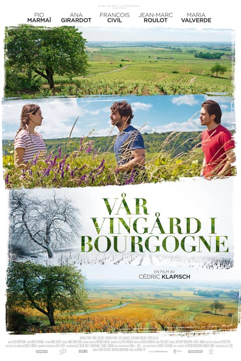 Vår vingård i Bourgogne